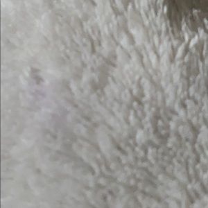 Meet your Posher, Caitlin